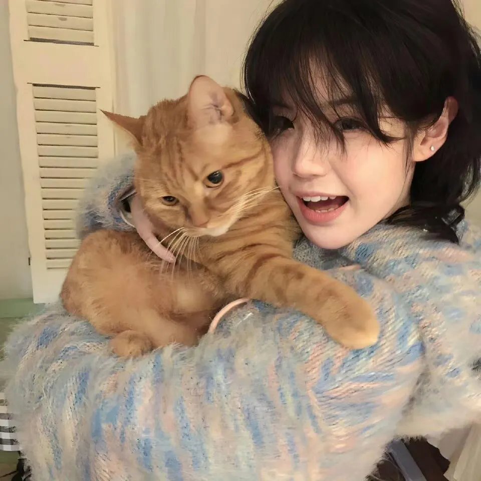 明天你是否依然爱我